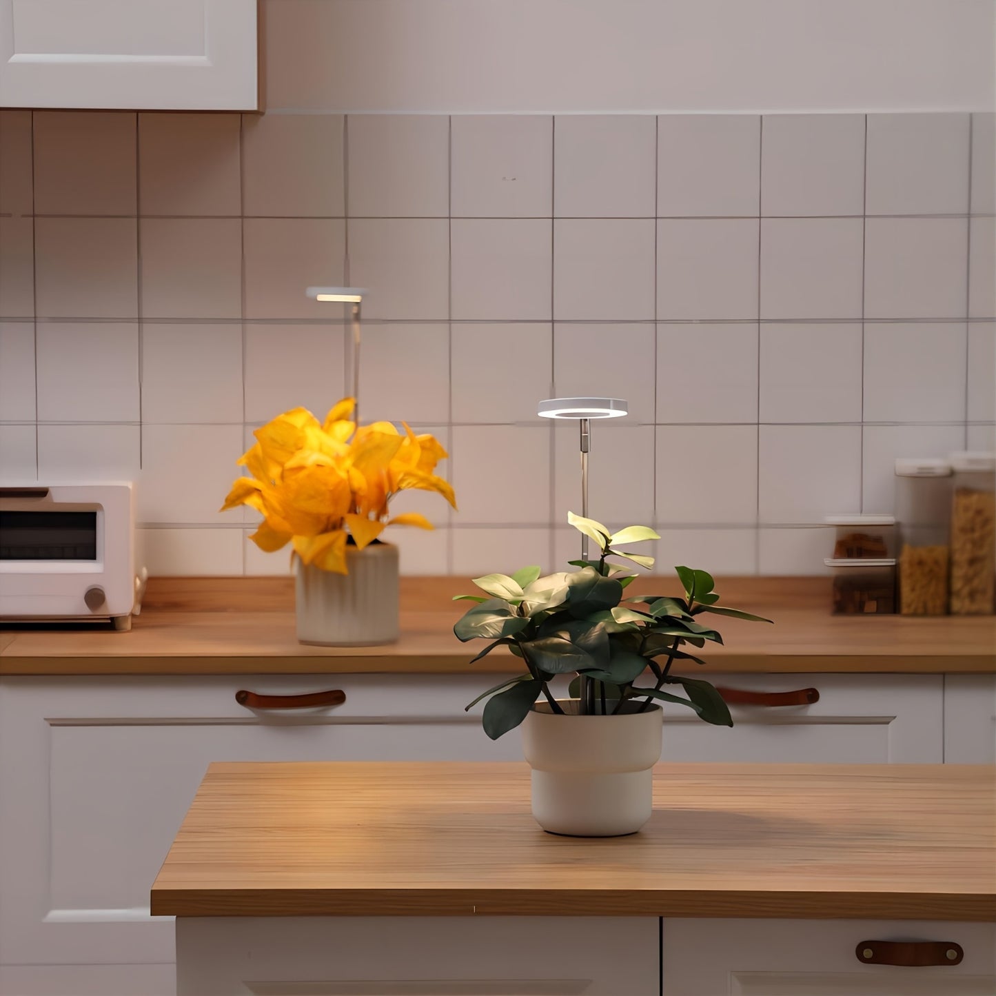 Light  Grow  Thrive.