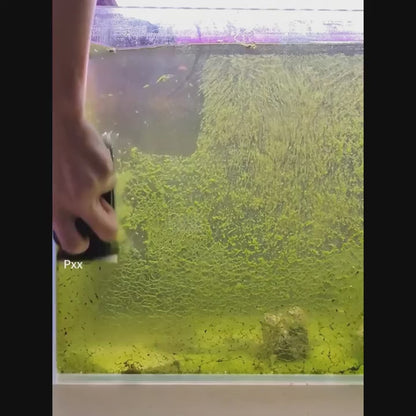 Clean  Clear  Effortless.